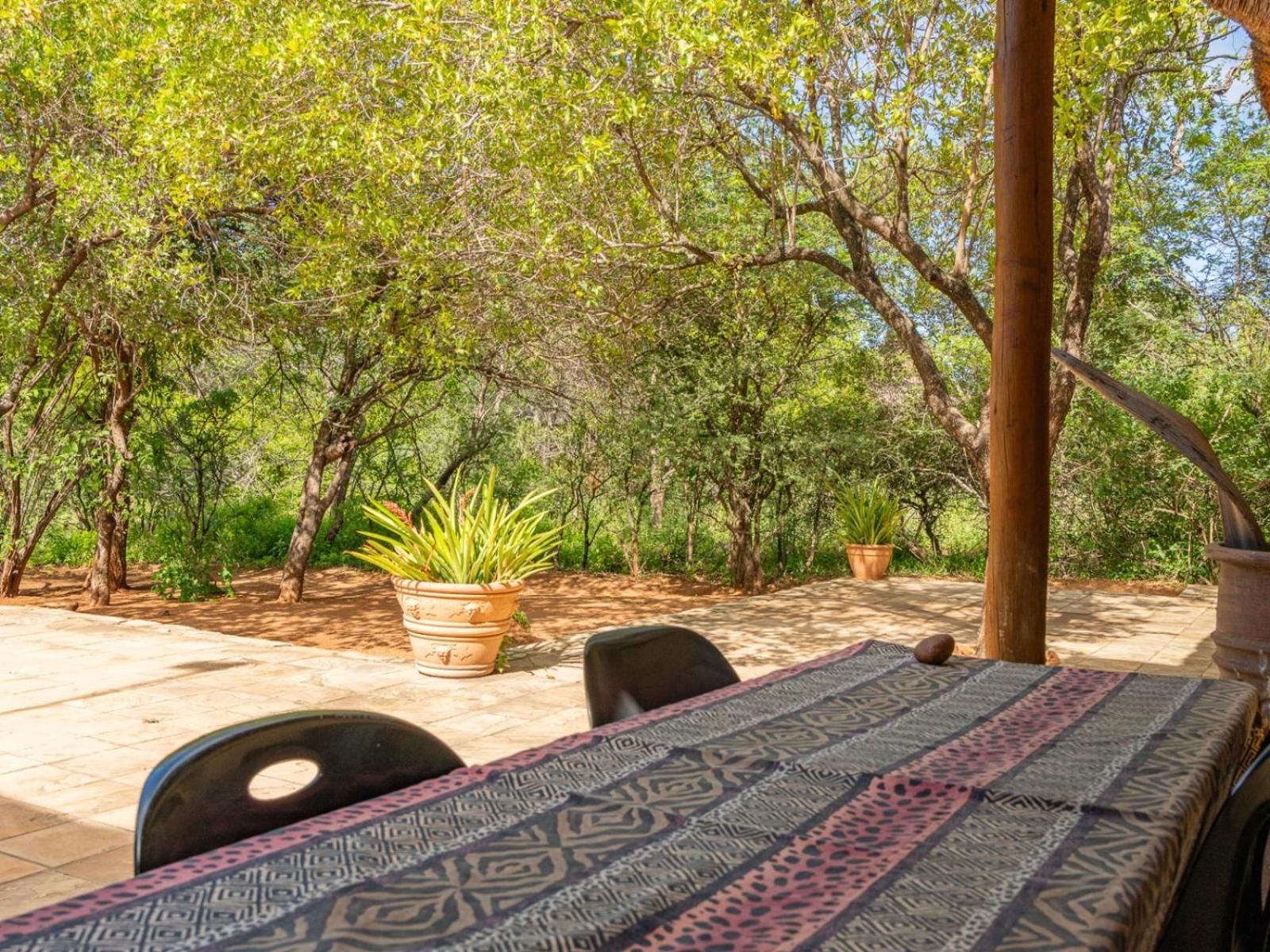 Impala Cottage Hoedspruit Eksteriør bilde